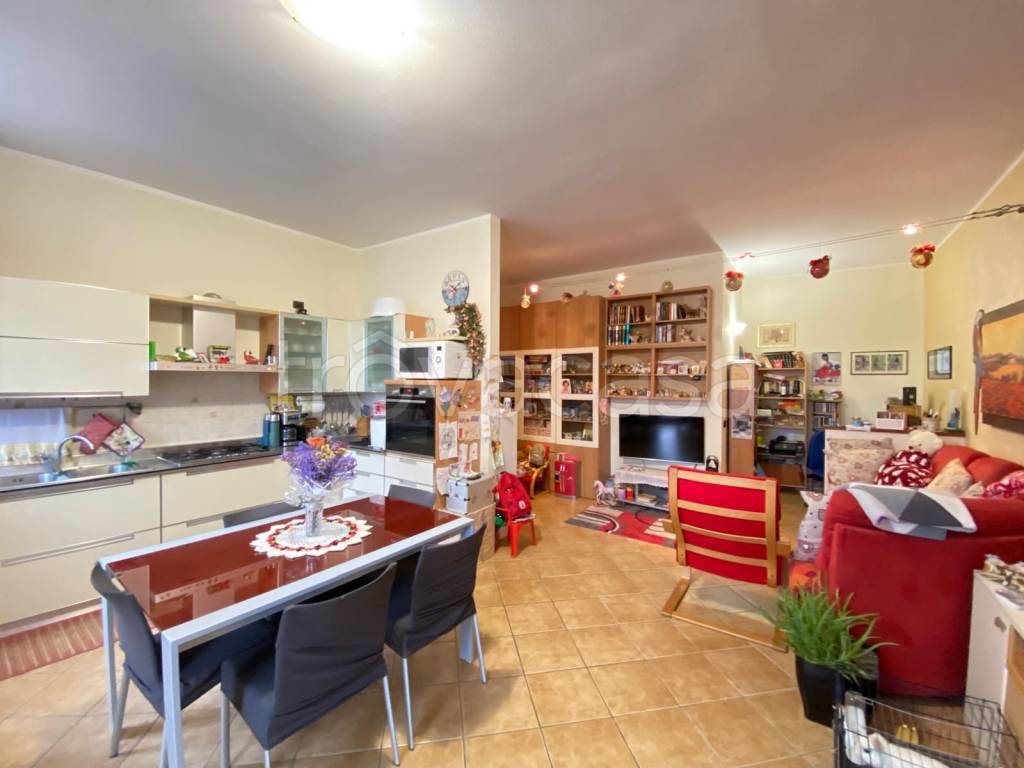 immagine annuncio 2 di 12