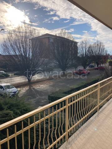 immagine annuncio 12 di 13