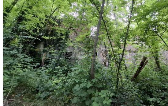 immagine annuncio 3 di 13