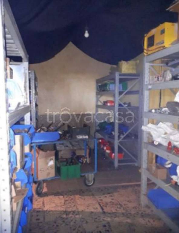 immagine annuncio 5 di 11