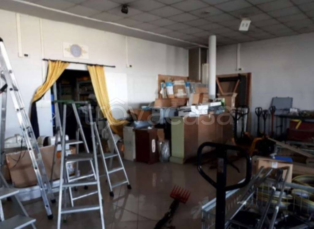 immagine annuncio 7 di 11