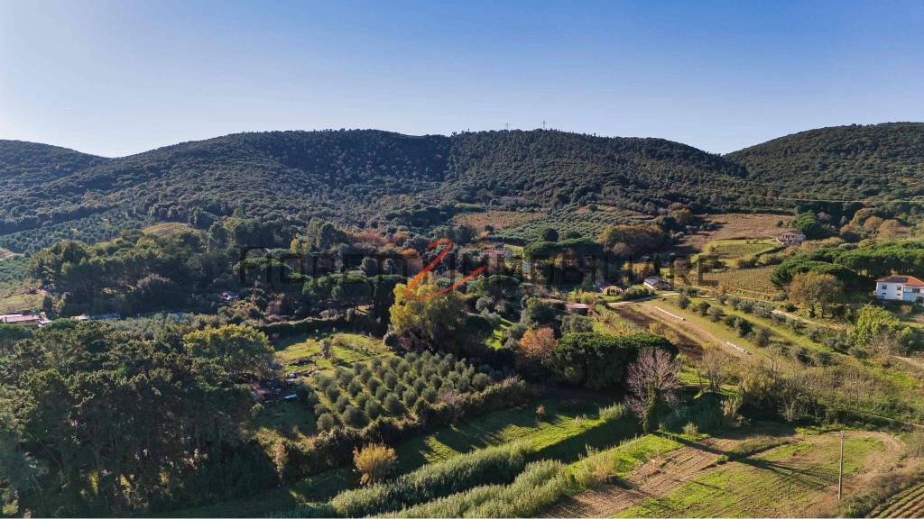 immagine annuncio 2 di 6