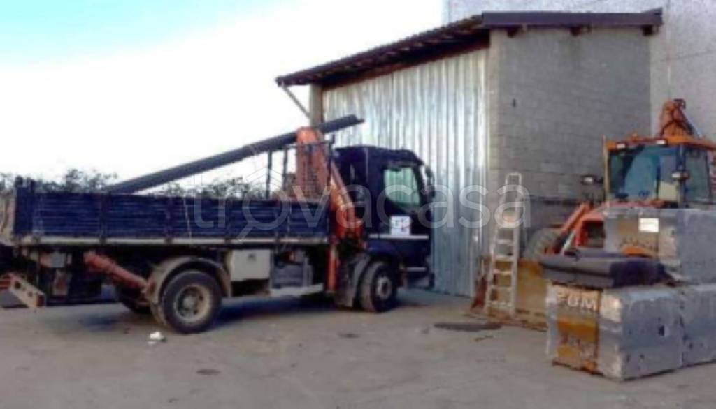 immagine annuncio 2 di 11