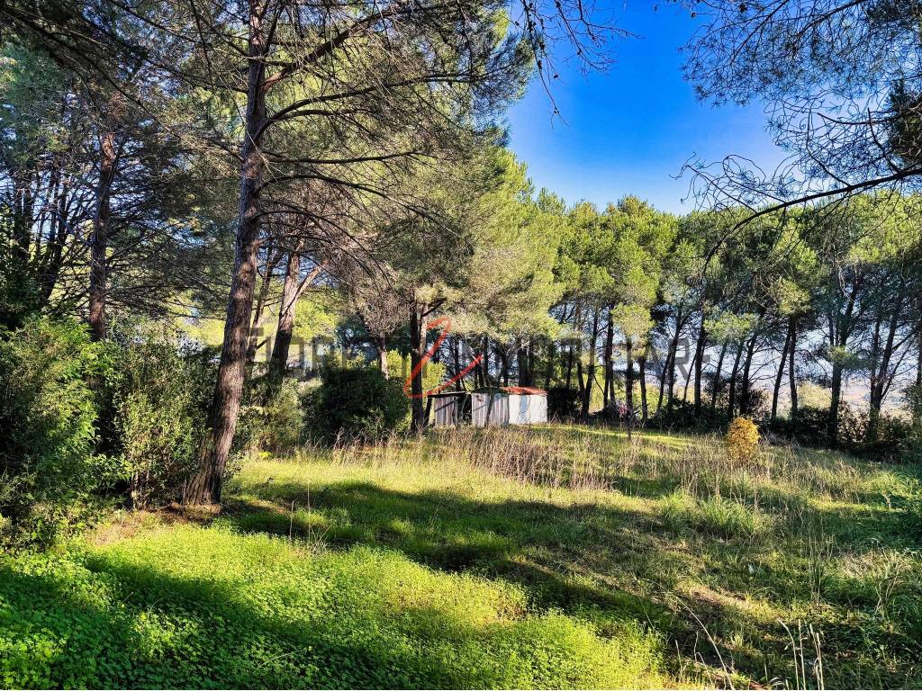 immagine annuncio 4 di 6