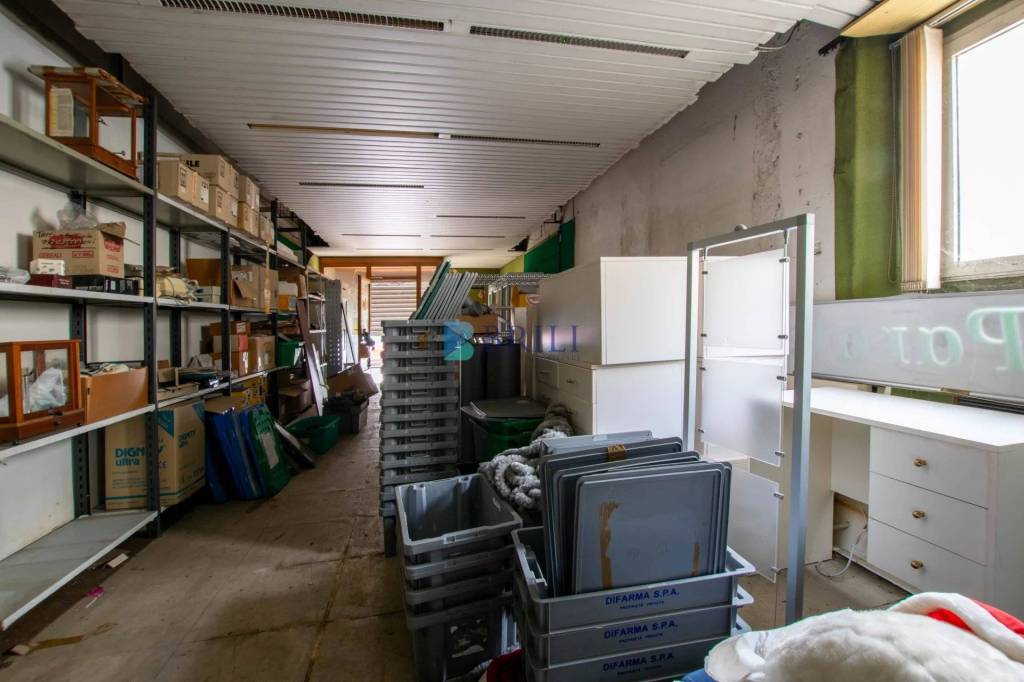 immagine annuncio 9 di 15