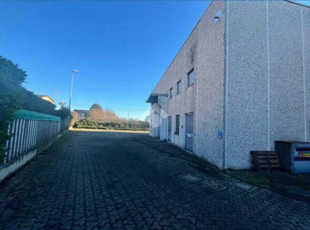 immagine annuncio 6 di 15