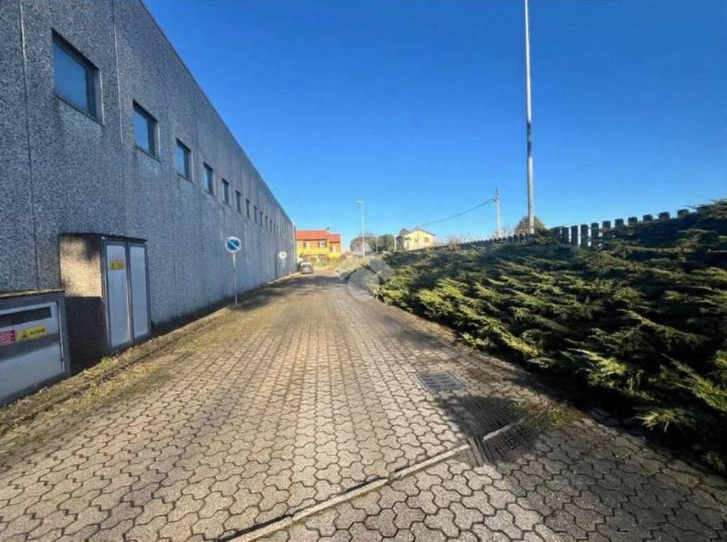 immagine annuncio 7 di 15