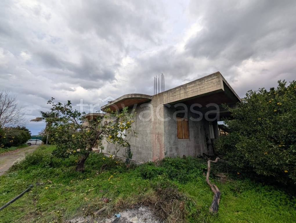 immagine annuncio 10 di 14