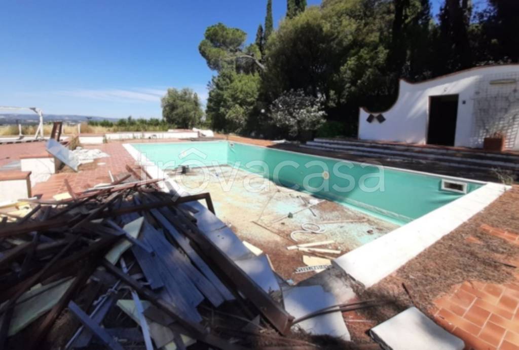 immagine annuncio 6 di 12