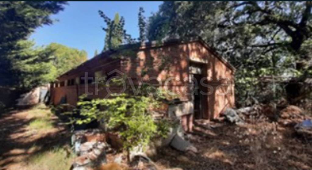 immagine annuncio 11 di 12