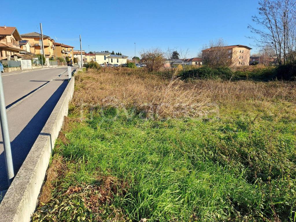 immagine annuncio 11 di 15