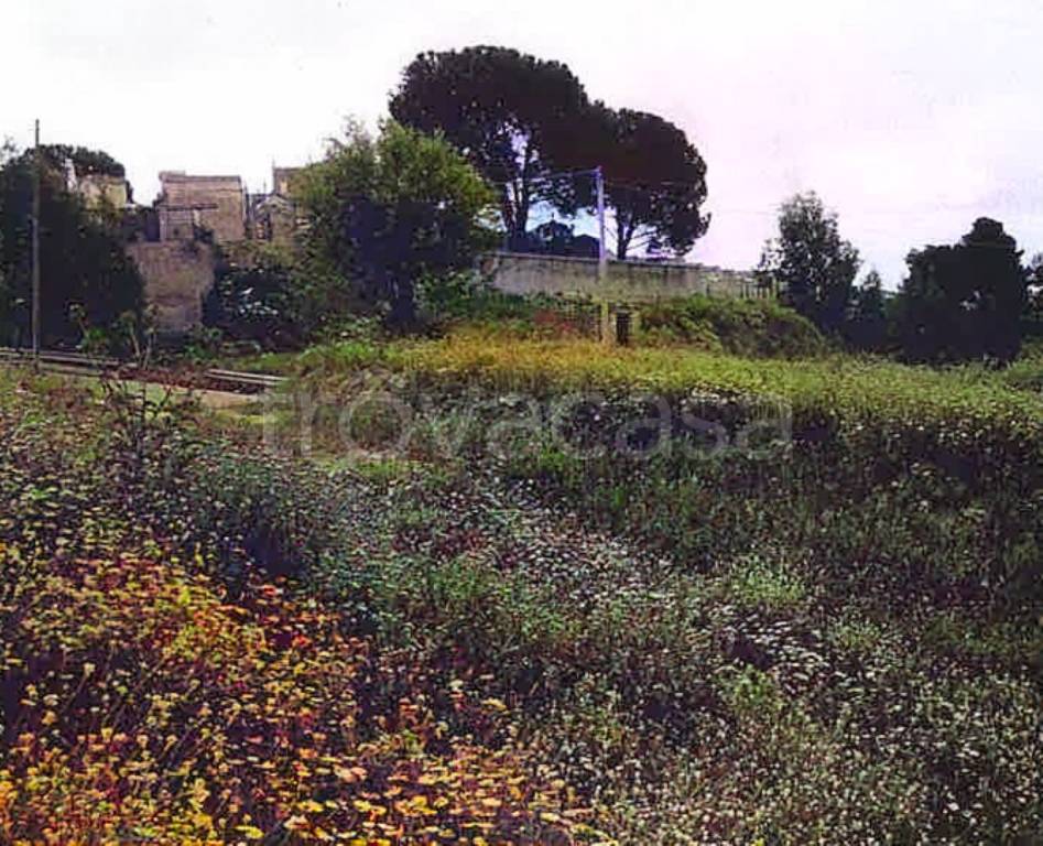 immagine annuncio 4 di 8