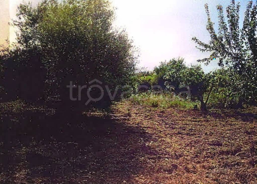 immagine annuncio 5 di 8