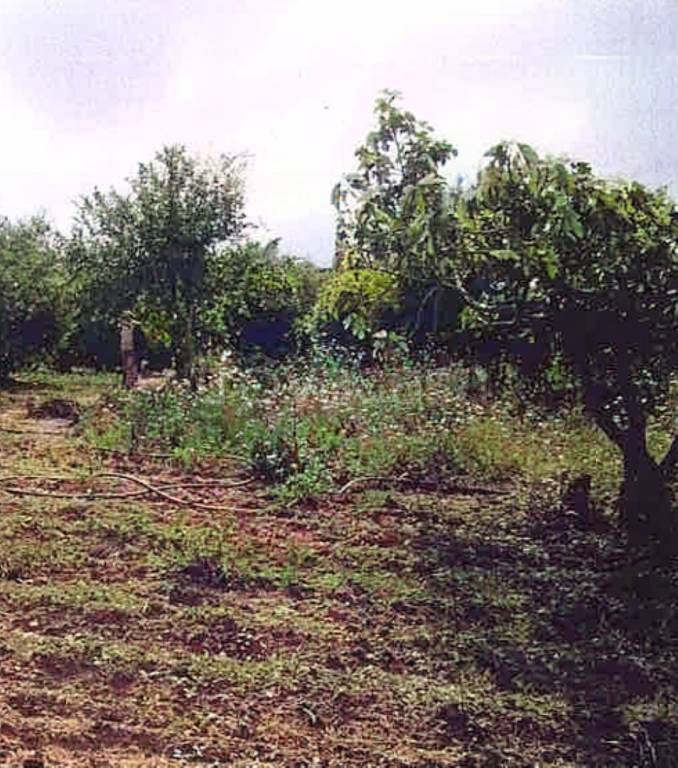 immagine annuncio 7 di 8