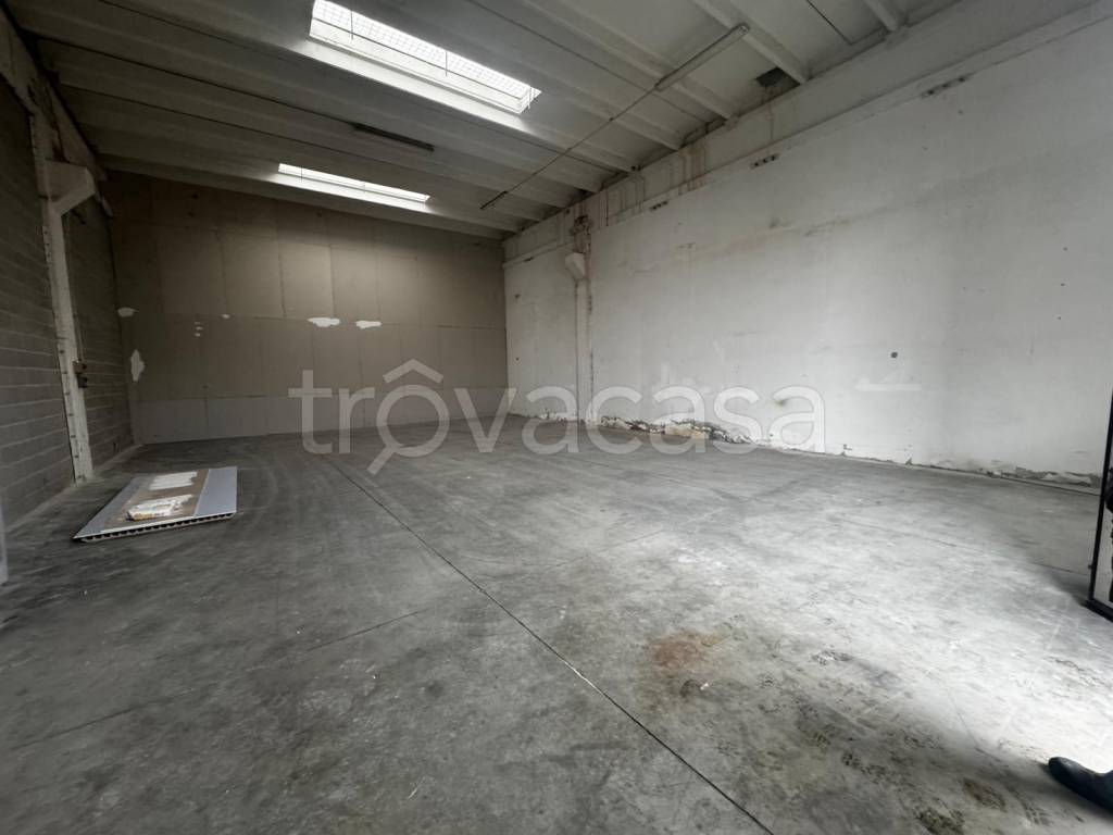 immagine annuncio 2 di 7