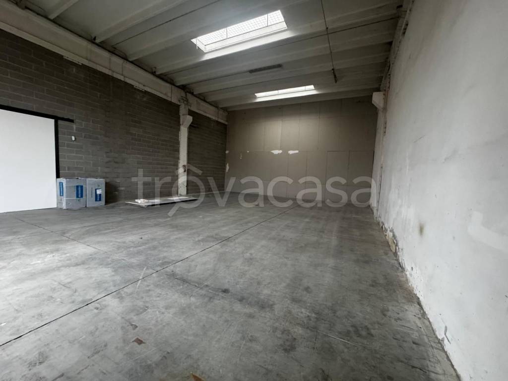 immagine annuncio 3 di 7