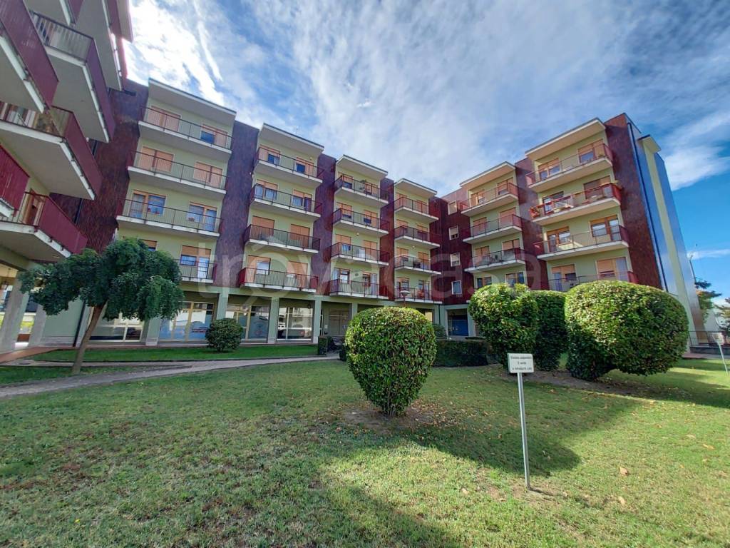 immagine annuncio 1 di 9