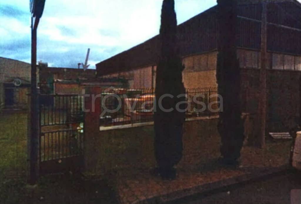 immagine annuncio 1 di 12