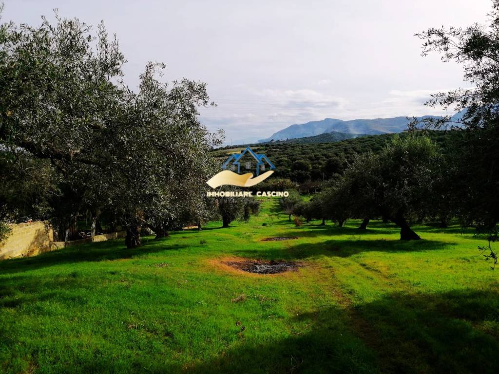 immagine annuncio 4 di 12