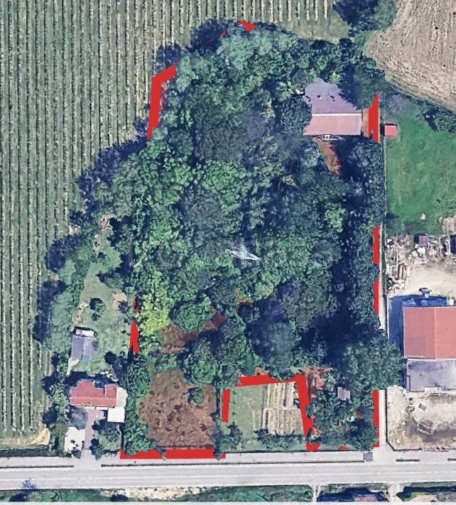 immagine annuncio 1 di 4