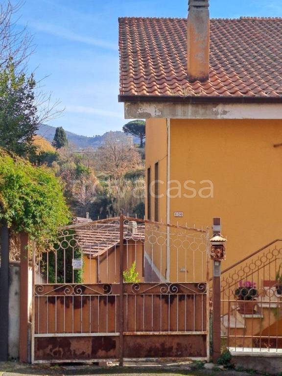 immagine annuncio 7 di 14