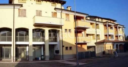 immagine annuncio 4 di 13