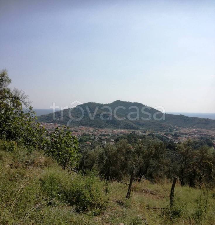 immagine annuncio 1 di 2