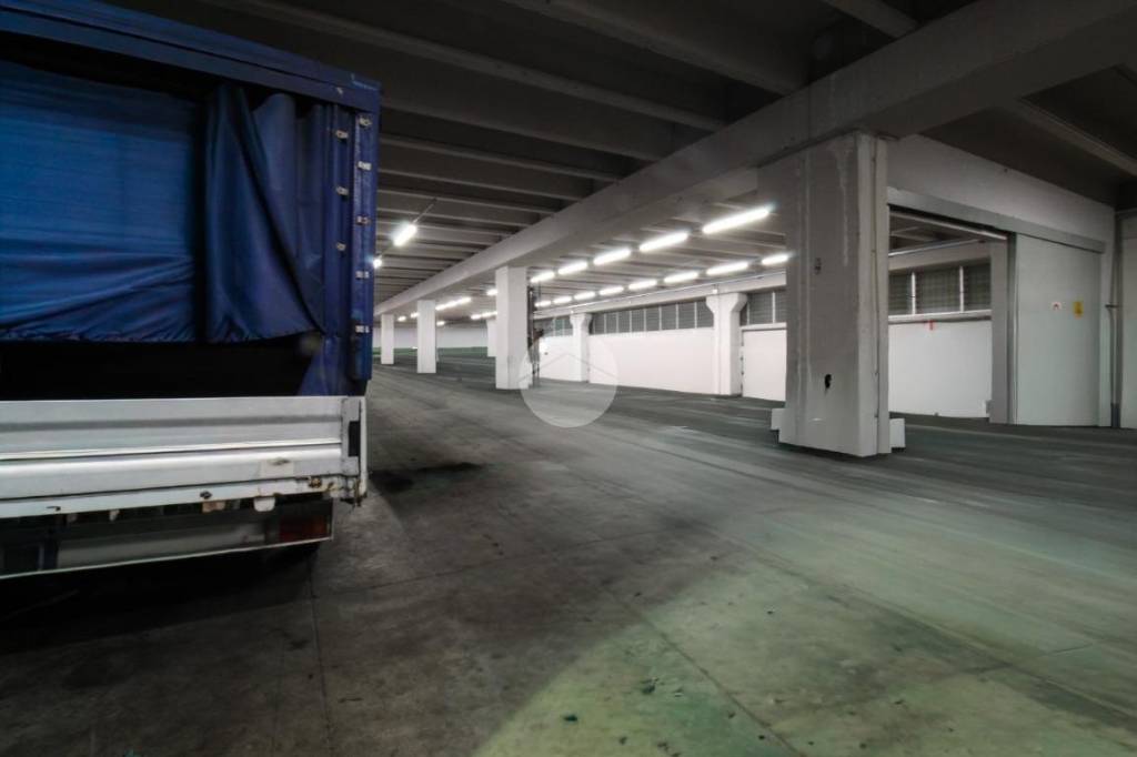 immagine annuncio 4 di 9