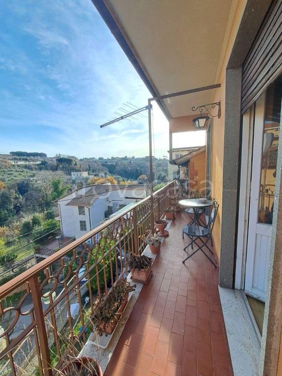 immagine annuncio 9 di 14