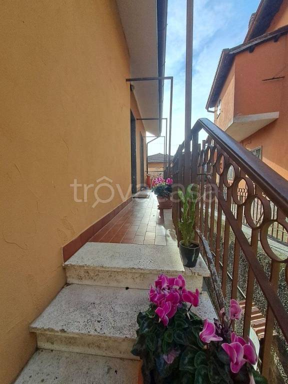 immagine annuncio 13 di 14