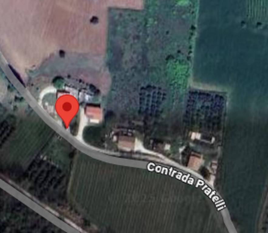 immagine annuncio 10 di 12