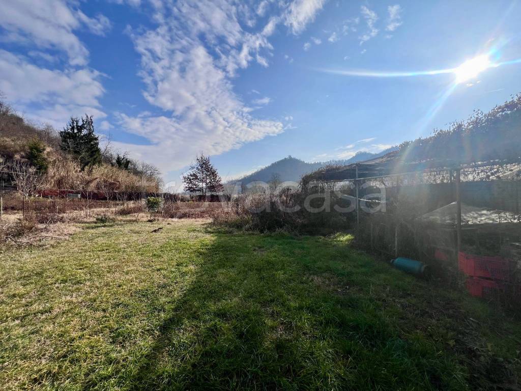 immagine annuncio 5 di 13