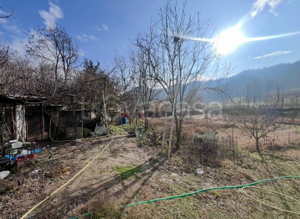 immagine annuncio 9 di 13