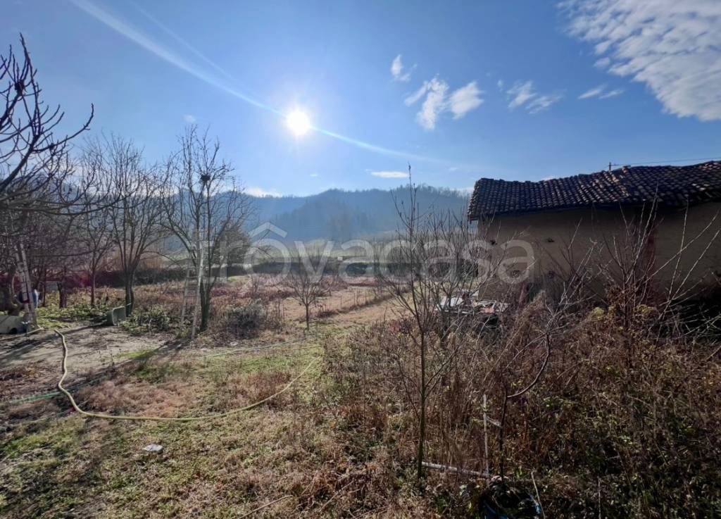 immagine annuncio 12 di 13