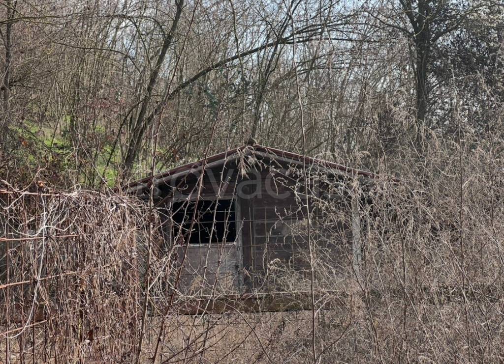 immagine annuncio 8 di 13