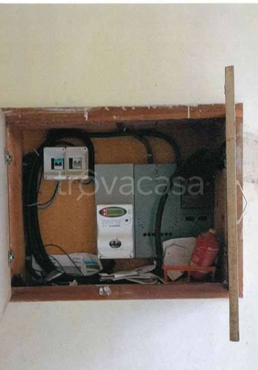 immagine annuncio 5 di 12