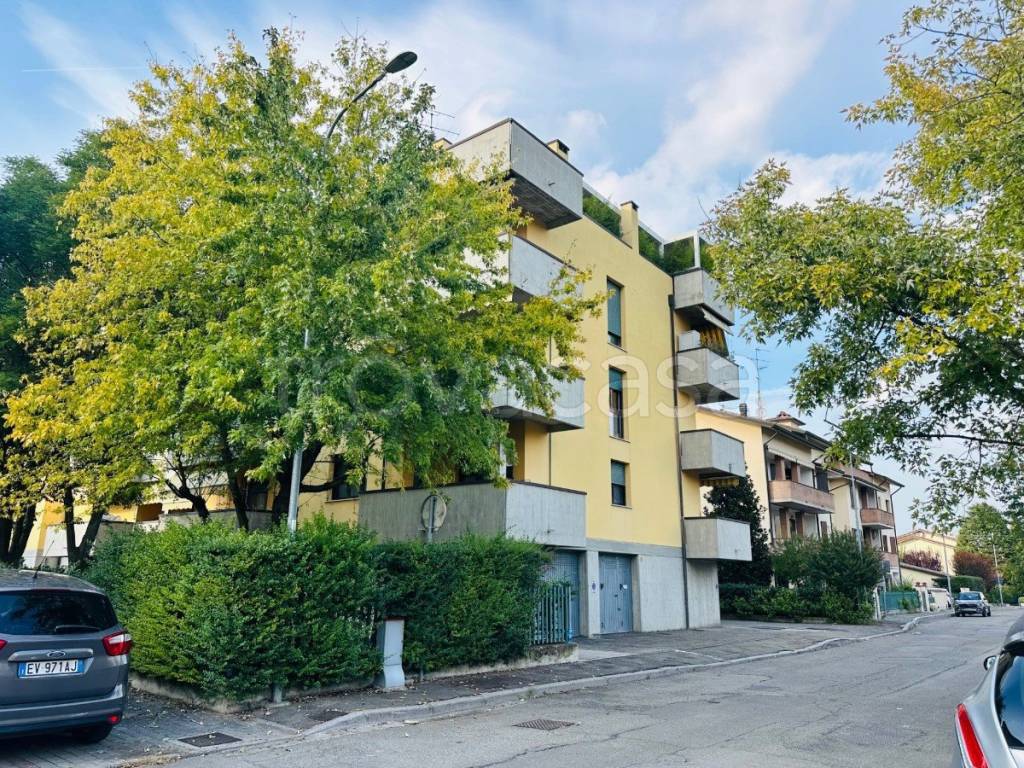 immagine annuncio 3 di 14