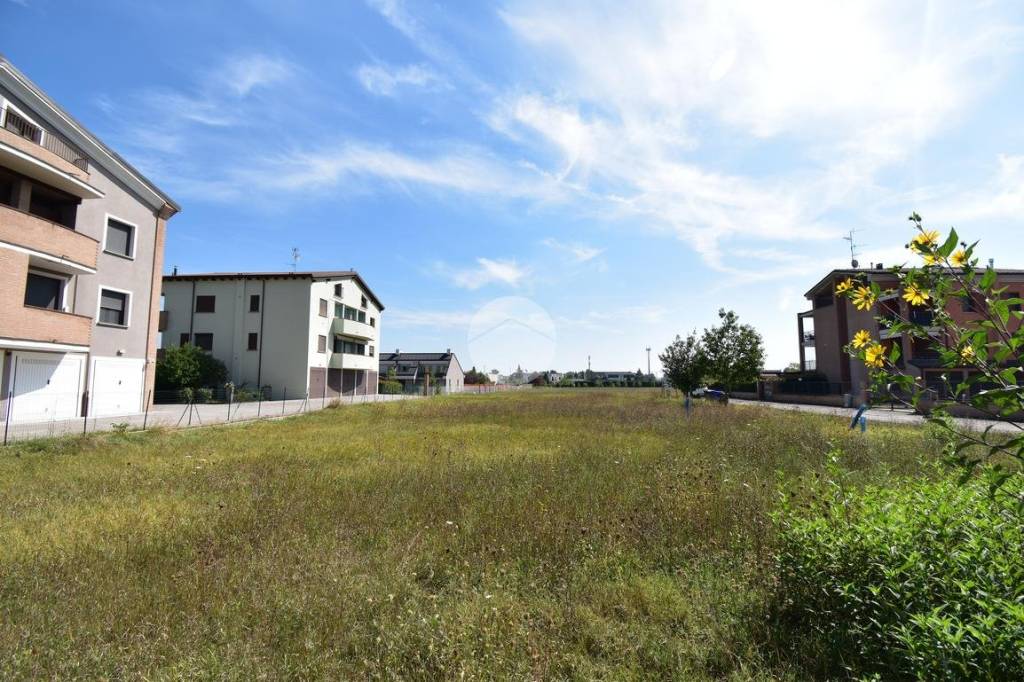 immagine annuncio 8 di 11