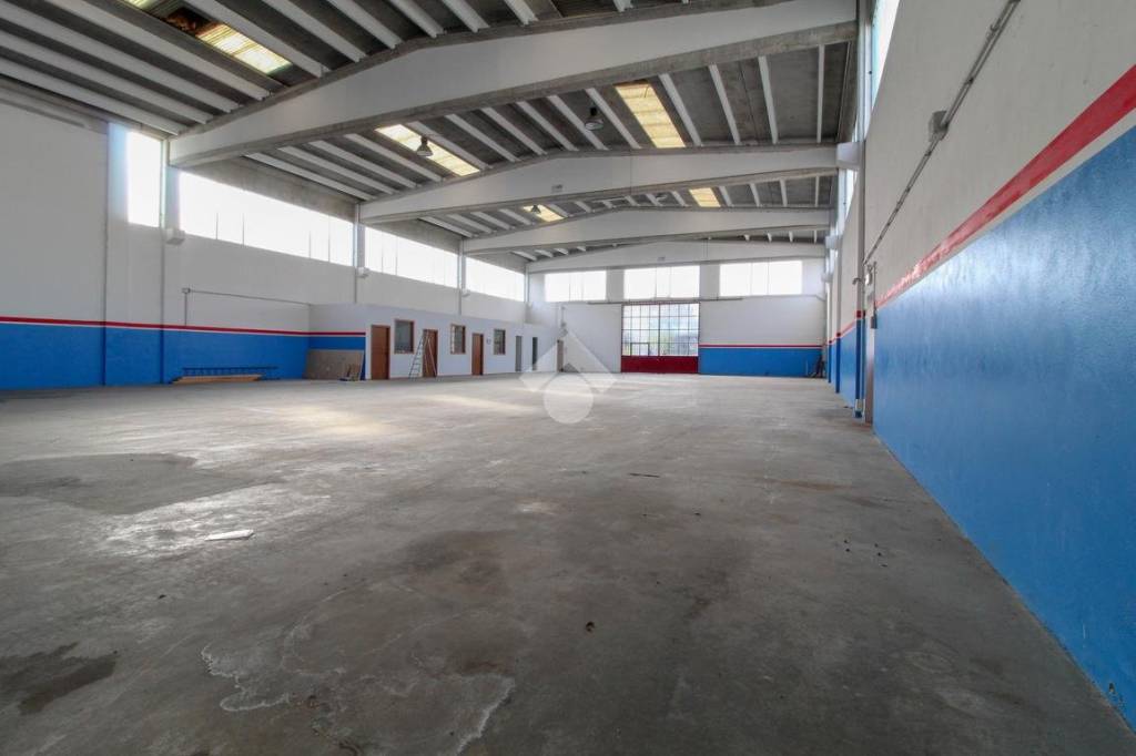 immagine annuncio 1 di 13