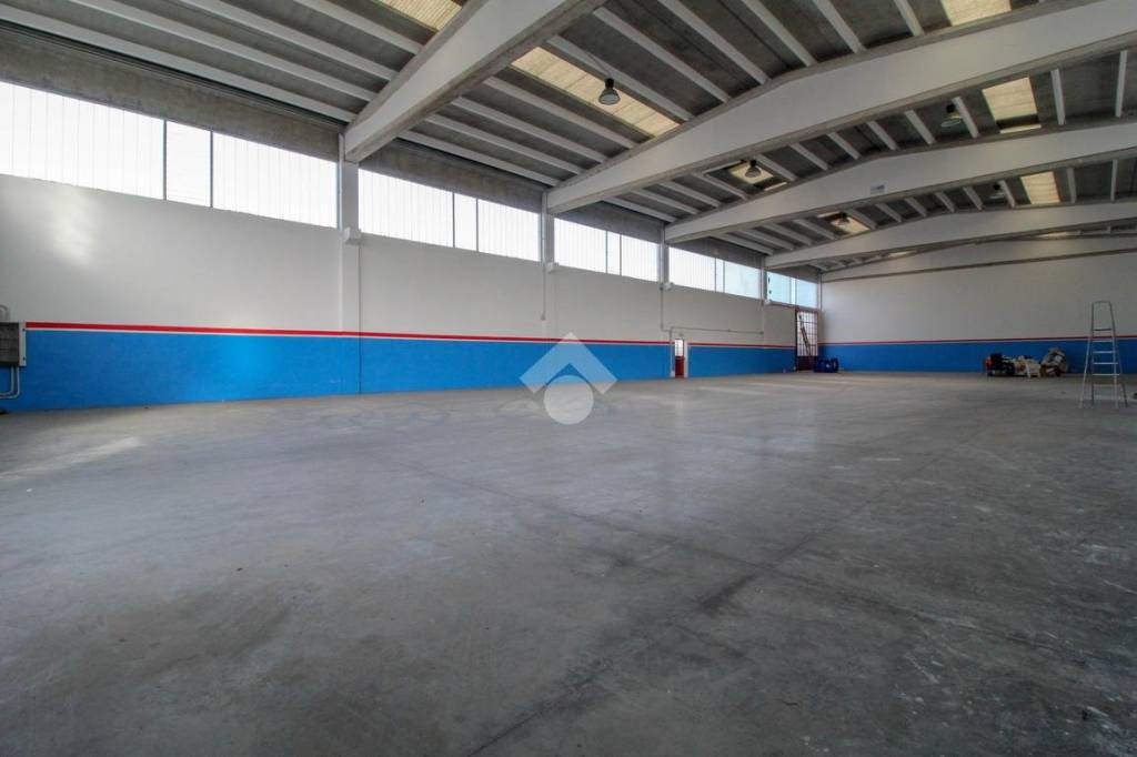 immagine annuncio 3 di 13