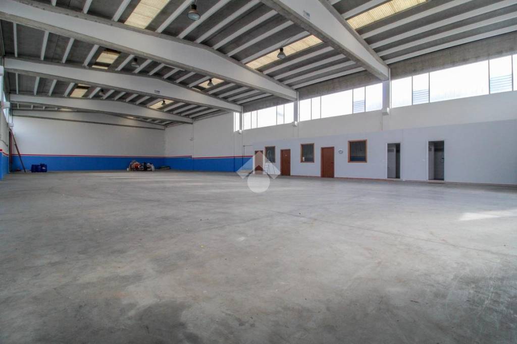 immagine annuncio 5 di 13