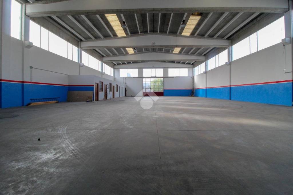 immagine annuncio 9 di 13