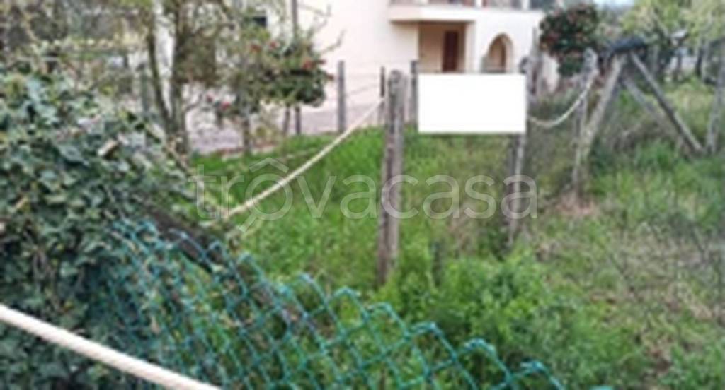 immagine annuncio 7 di 9