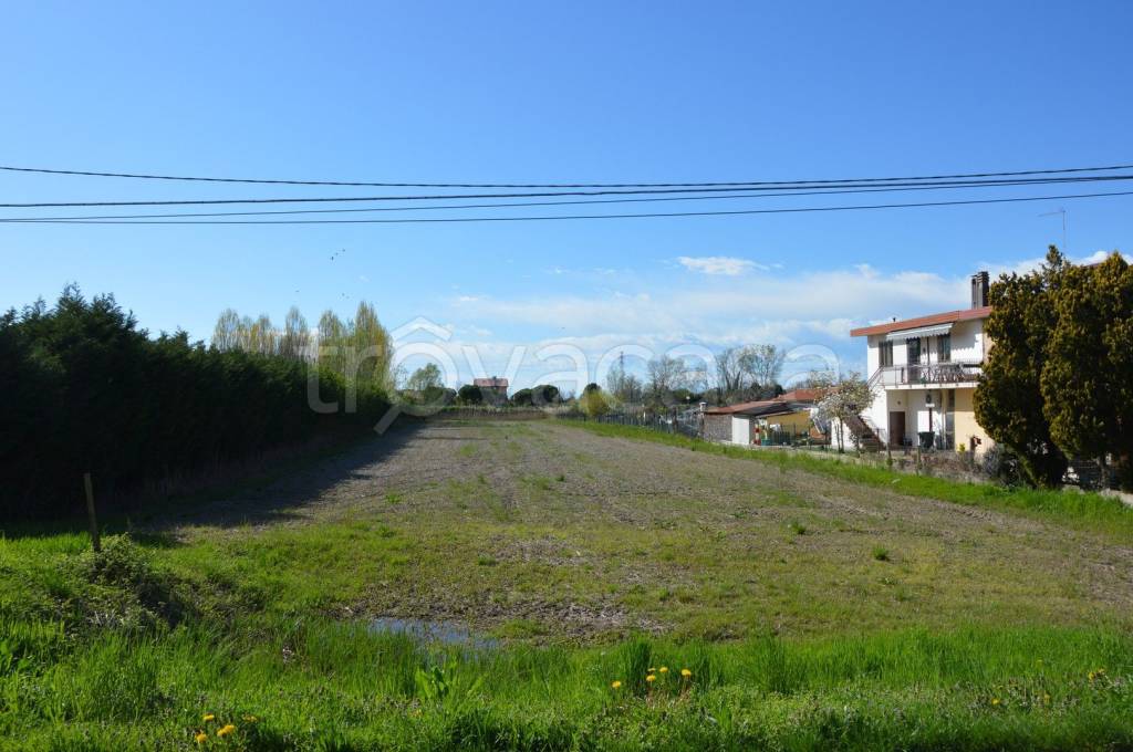 immagine annuncio 2 di 7