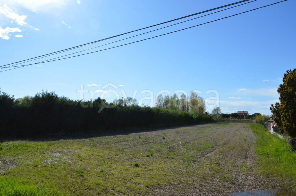 immagine annuncio 4 di 7