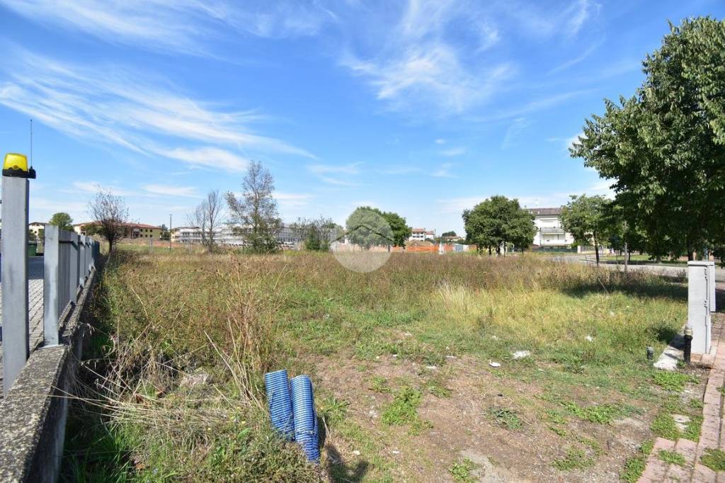 immagine annuncio 9 di 11