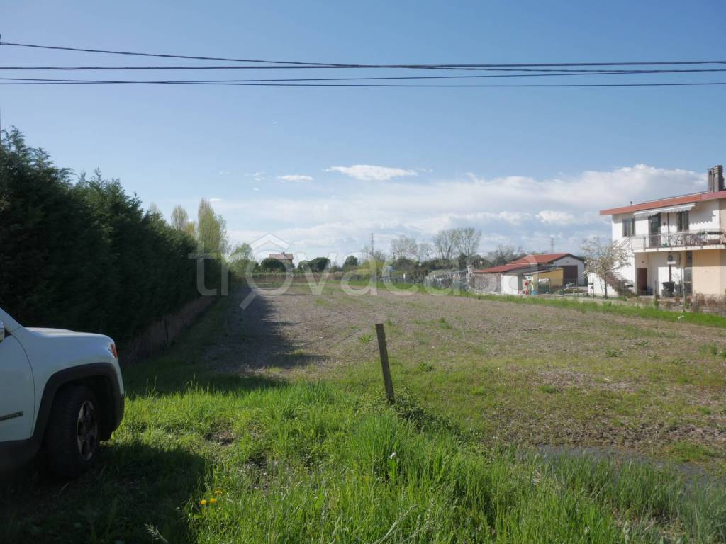 immagine annuncio 3 di 7