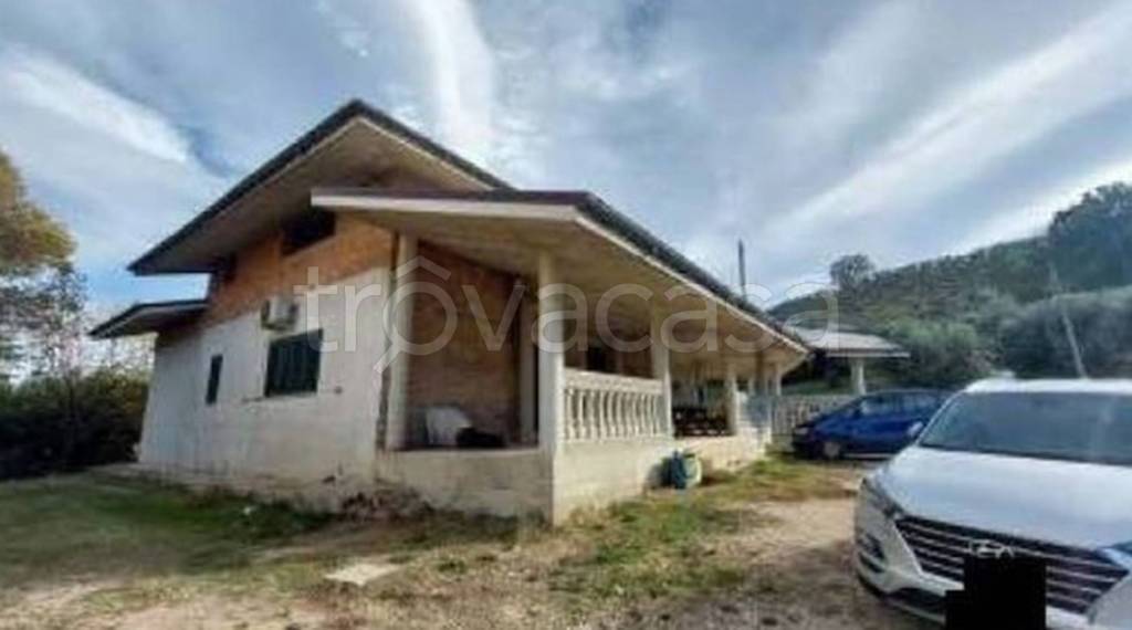 immagine annuncio 2 di 11