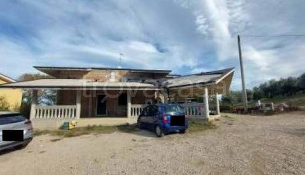 immagine annuncio 3 di 11