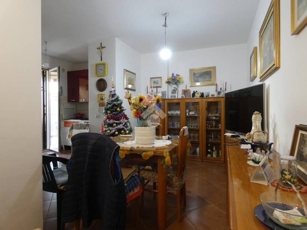 immagine annuncio 3 di 11